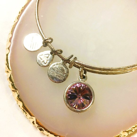Alex and Ani Swarovski Color Code Amethyst silver tone bangle charm bracelet - Picture 1 of 3